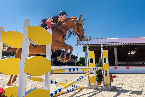 An experienced female show jumper on her brown mare is crossing over an ox-fence on a sunny day during a horse riding work shop at Ranshofen Horse Riding Arena, Austria.Canon EOS 5D Mark IV, 1/1250, f/11 , 24 mm.