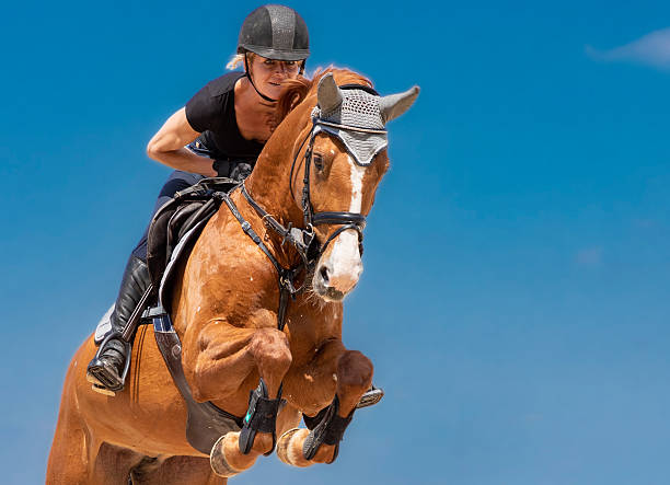 Young rider and her horse during a show jumping competition