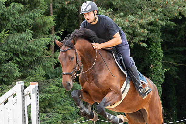 istock Male show jumper close up. 2251836958