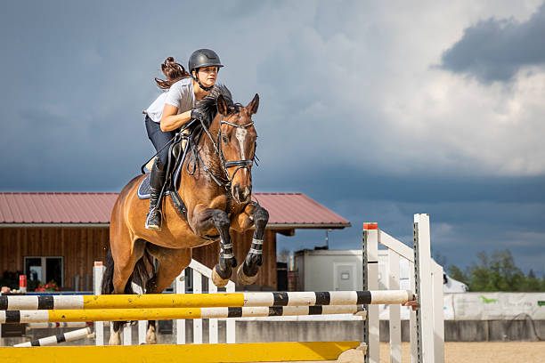 istock Female show jumper in sunlight. 2251836969