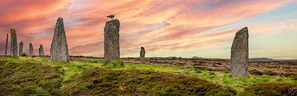 istock Ring of Brodgar, Orkney – Standing Stone with Gull, September 2251837021