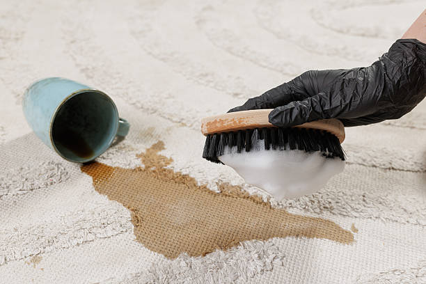 istock Gloved hand scrubbing coffee stain with foam brush on light carpet 2251843851