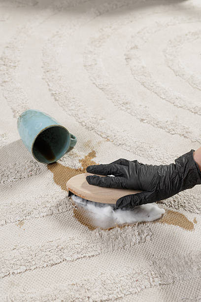 Hand in glove cleaning coffee stain on light textured rug with foam brush