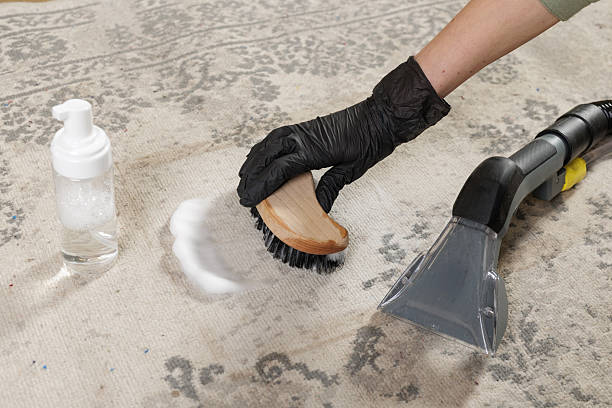 istock Foam pretreatment and extractor for cleaning patterned home carpet 2251843869