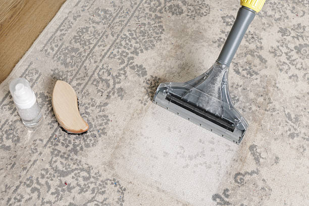 istock Wide extractor head refreshing vintage patterned rug after foam treatment 2251843872