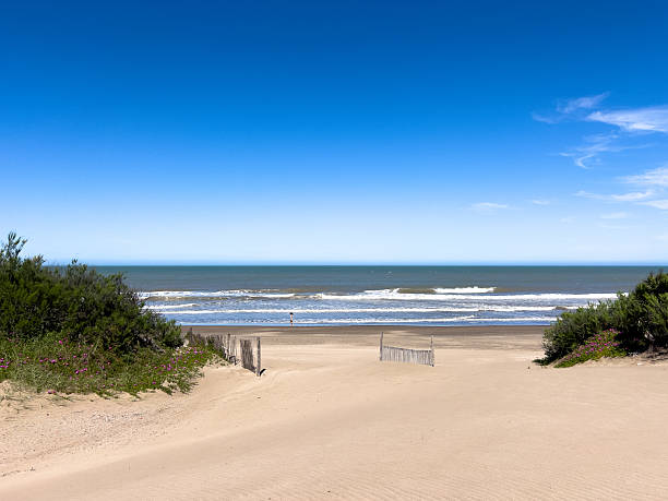 istock Coastal Sand Dunes and Ocean Waves under Clear Blue Sky 2251843925