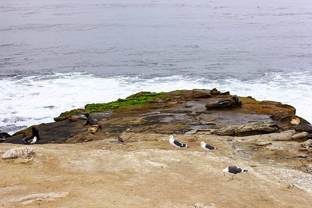 istock Amazing trip to San Diego 2251845018