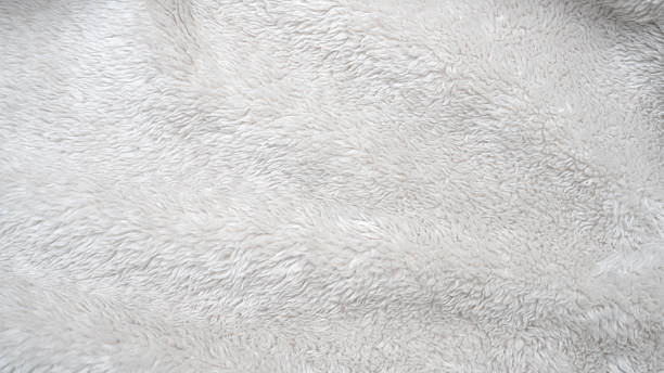 istock A close up of a white fur texture 2251846023