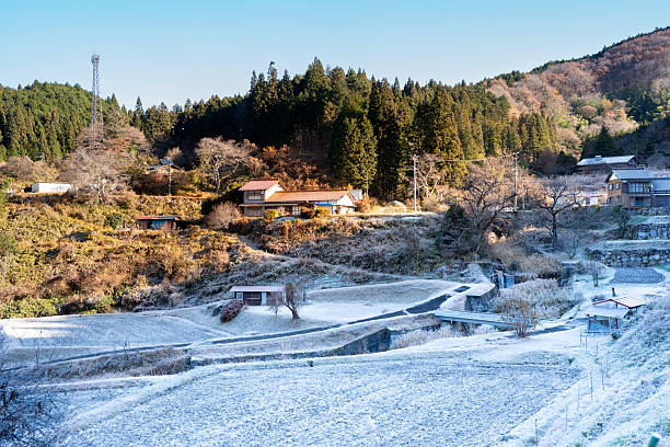 A serene winter landscape showing terraced agricultural fields covered in white frost near a traditional mountain village