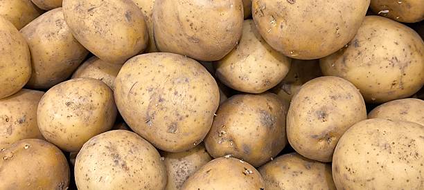 istock Potatoes for cooking in many ways 2251848216