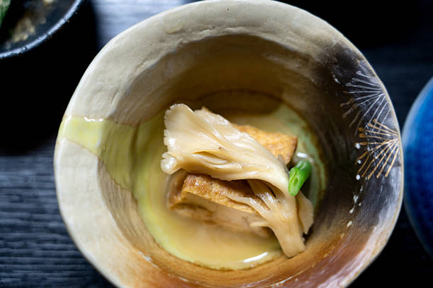 Traditional Japanese simmered tofu with maitake mushrooms in an artisanal ceramic bowl.