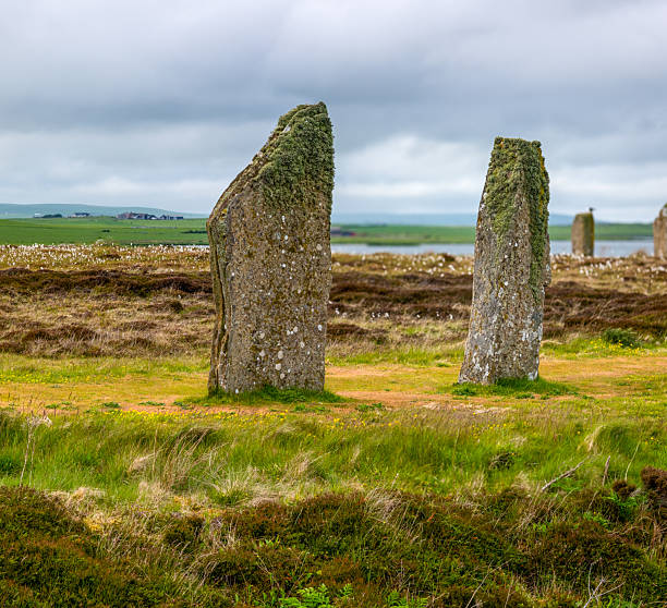 istock Ring of Brodgar, Orkney – Standing Stone with Gull, September 2251849196
