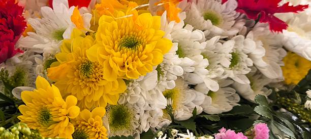 istock Multicolored flowers for the background 2251849341