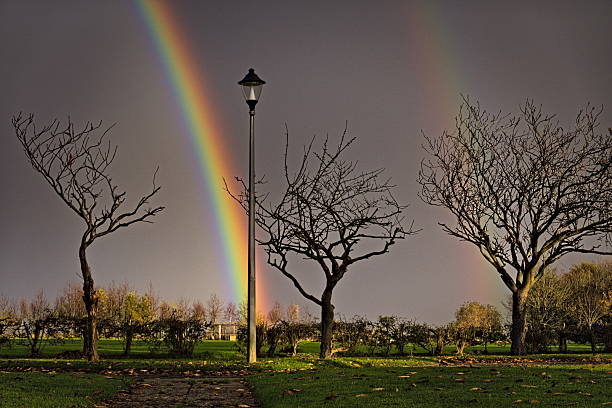 Rainbow against grey sky in autumn, green meadow and trees
