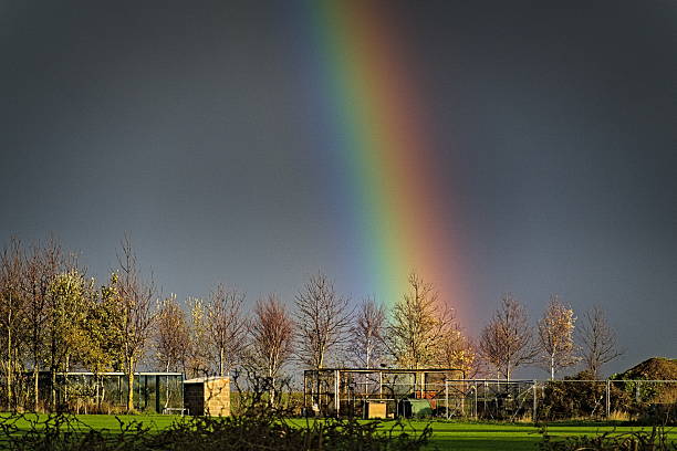 Rainbow against grey sky in autumn over Garden