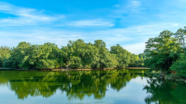 istock Green Trees Reflecting in Calm Lake 2251859689