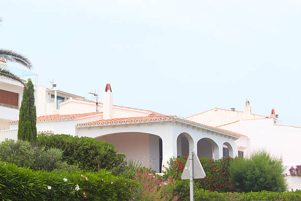 Large patio with palm trees near swimming pool