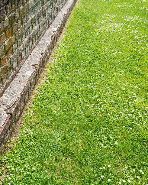 brick wall and green lawn