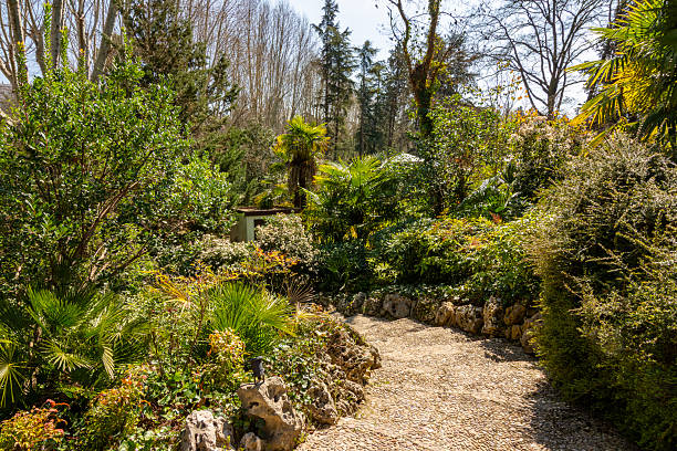 istock Campo del Moro park in spring, Madrid, Spain 2251877232