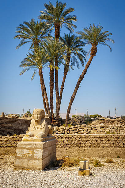 istock Sphinx sculpture at the Temple of Luxor, Egypt. 2251882241