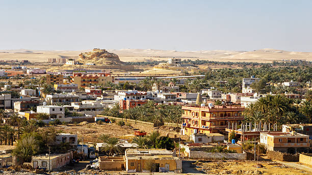 istock View of the Siwa oasis, Egypt 2251882441