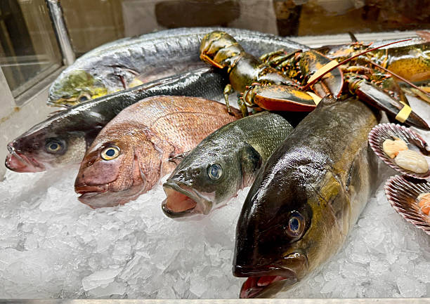 istock fresh fish on ice in restaurant display 2251882706