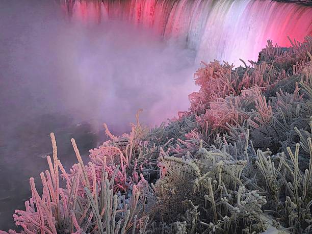 Illuminated Horseshoe Falls and ice formations