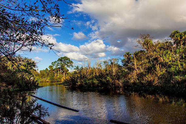 Charobrique, Cacheu Region, Guinea-Bissau: Costa River, a tributary of the Cacheu River, with dense and wide mangroves along both banks - mangrove forests are locally known as 'Tarrafes' or 'Mangais'. Guinea Bissau has the largest compact mangrove environment in West Africa.