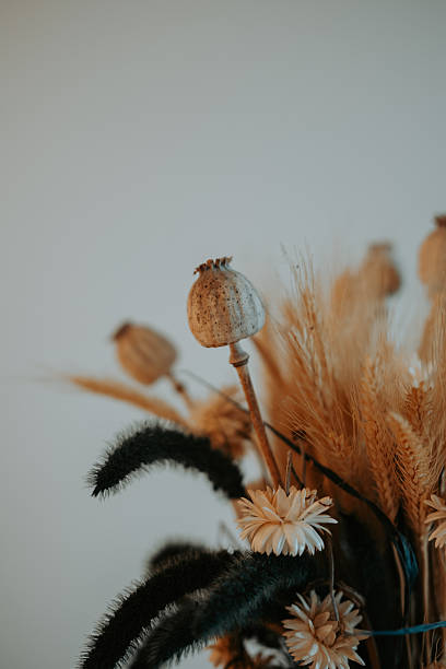 istock Boho dried flower bouquet in a clean minimalist style 2251901054