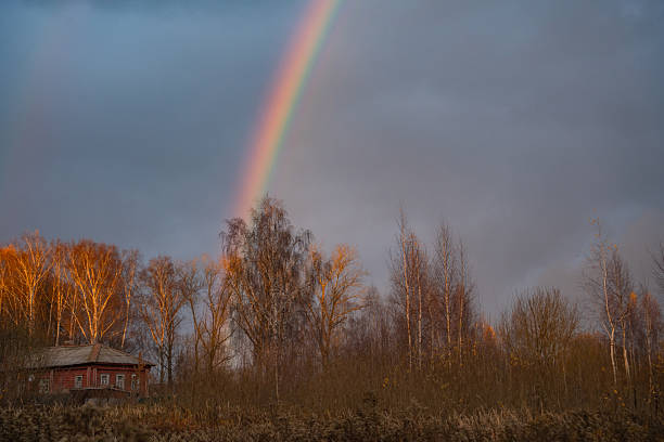 Vibrant rainbow emerging over dense forest during late afternoon after rainstorm