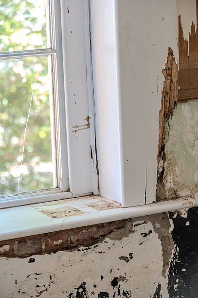istock historic building interior demolition and renovation and construction 2251903766