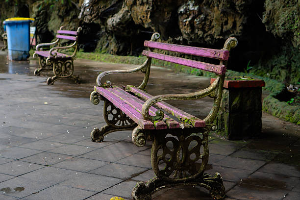 Two Ornate Park Benches in a Lush Green Natural Setting Detailed Moss Growth