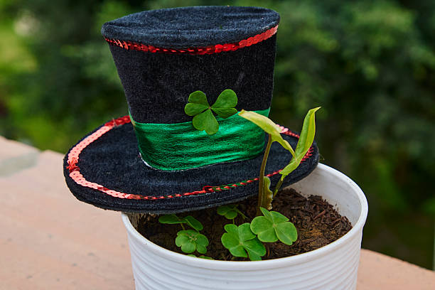 This vibrant green top hat features a shamrock and festive text, perfect for celebrating St. Patrick's Day, representing joy, good luck, and the spirit of Irish culture during joyful gatherings and celebrations.