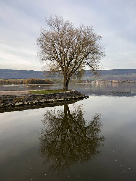 Lakeshore in Yverdon-les-Bains, Switzerland on November 13, 2025.