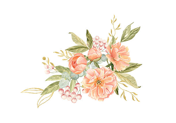 Delicate peony, eucapyptus, gold elements composition in peach tones watercolor illustration isolated on white. Hand-painted perfect for wedding invitations, branding, packaging, fabric design cards.