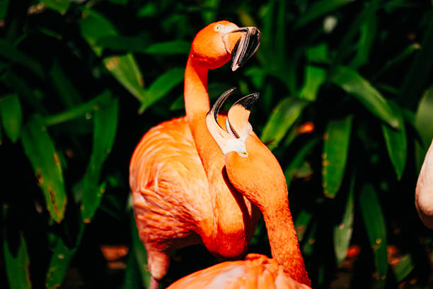 A vibrant flamingo stands gracefully among lush greenery, displaying its graceful neck and unique posture in its natural habitat.