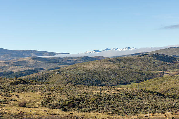 A mountain range is visible in the distance, with a cloudy sky in the background. The scene is peaceful and serene, with a sense of calmness and tranquility