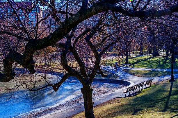 Boston, Massachusetts, USA - December 11, 2025: The Boston Public Garden at the onset of winter - a freezing half-empty lagoon; bare trees, cool afternoon light, and few pedestrians. Established in 1837, the Public Garden is a large park in the heart of Boston, adjacent to Boston Common. It is a part of the Emerald Necklace system of parks. The Public Garden was the first public botanical garden in America.