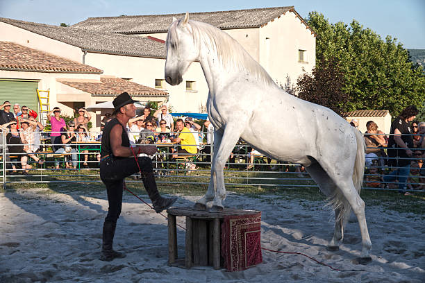 This thrilling Romani show took place in Ongles, Alpes de Haute Provence, France on the 3 July 2010.  Their culture is of nomadic nature. This trainer and his horse are both mounting, partially, the barrel. The public were warmly welcomed.