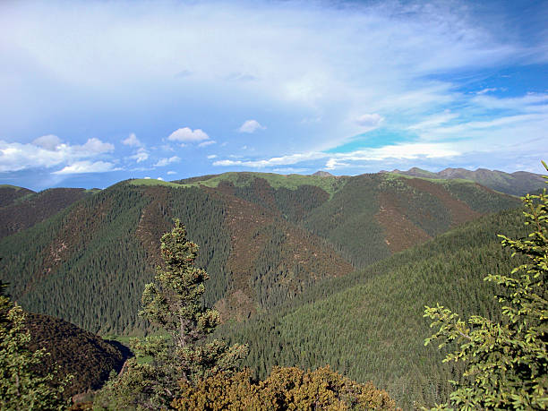 istock Scenic Mountain Landscape with Dense Forests 2251925446