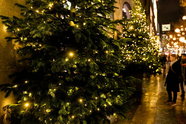 istock Close-up of Christmas tree branches with warm decorative lights 2251925488