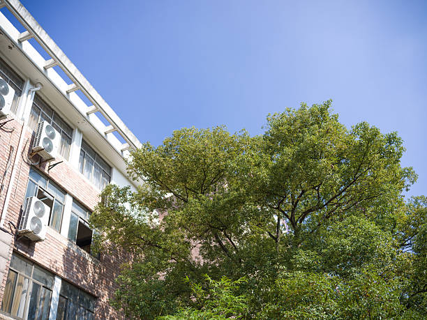 Brick building with windows, green trees under blue sky