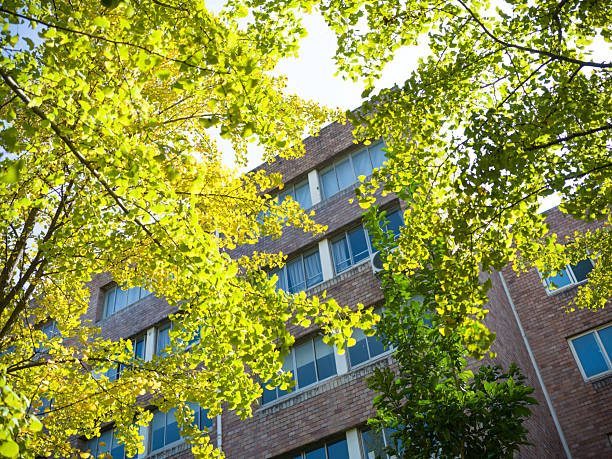 istock Brick building with windows, green trees under blue sky 2251926947