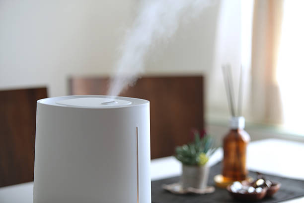 istock Humidifiers to protect your room from dryness 2251938445