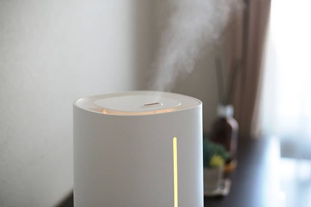 istock Humidifiers to protect your room from dryness 2251938446