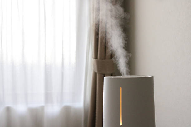 istock Humidifiers to protect your room from dryness 2251938449