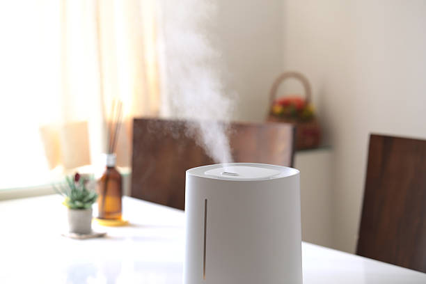 istock Humidifiers to protect your room from dryness 2251938458