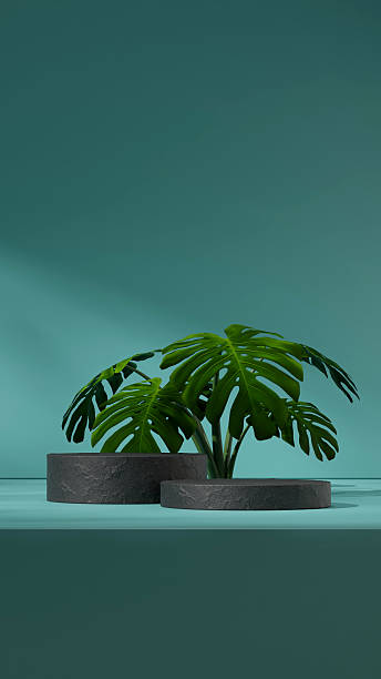istock ceramic texture curved cylinder in portrait minimal scene, 3d rendering mockup template 2251939318