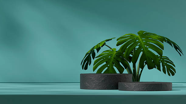istock ceramic texture curved cylinder in landscape minimal scene, 3d rendering mockup template 2251939335