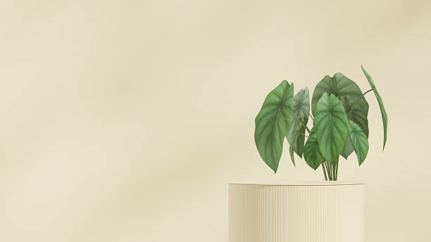 istock yellow color curved cylinder in landscape minimal scene, 3d image render template mockup 2251939395